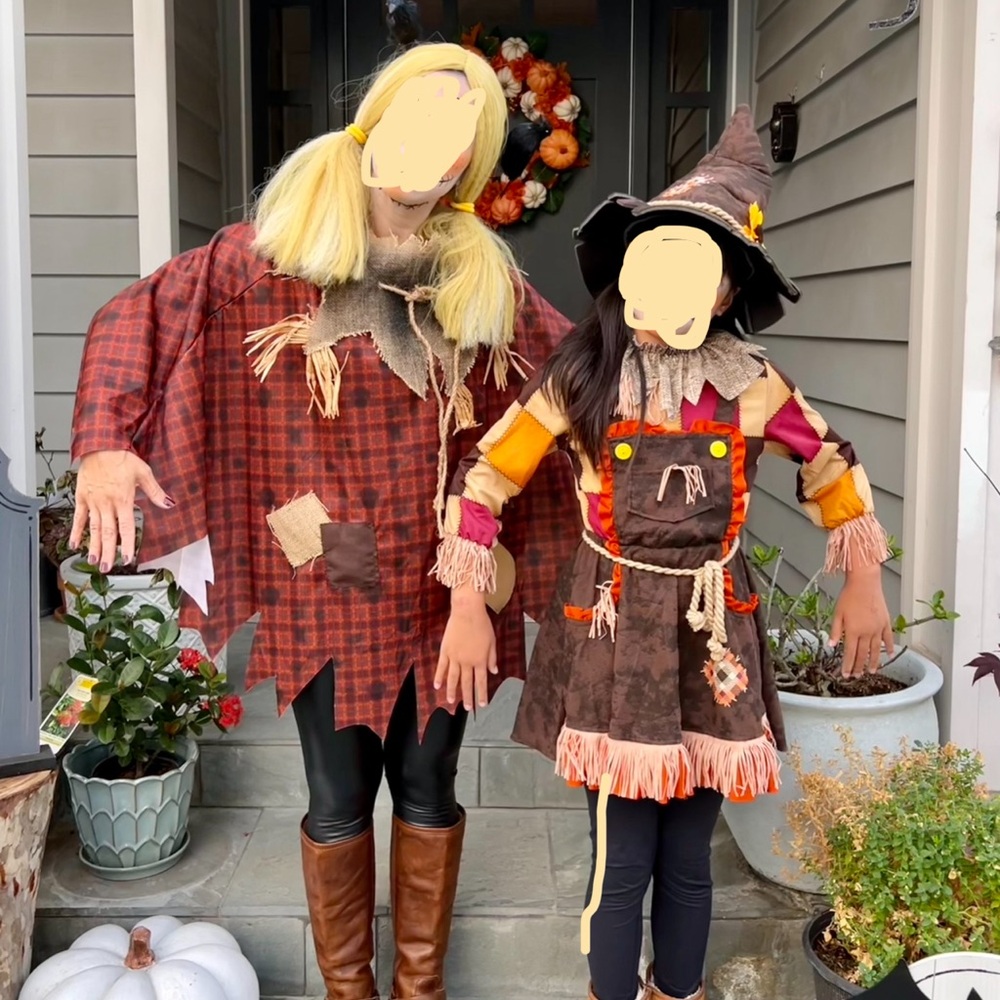 Wig and Scarecrow Costume